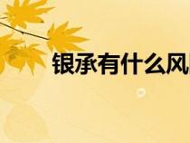 銀承有什么風(fēng)險(xiǎn)（銀承是什么意思）