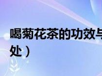 喝菊花茶的功效與作用（喝菊花茶的好處和壞處）
