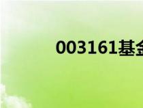 003161基金凈值查詢（0031）