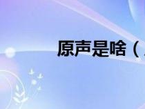 原聲是啥（原聲帶是什么意思）