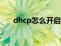 dhcp怎么開啟手機（dhcp怎么開啟）
