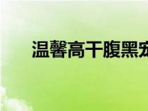 溫馨高干腹黑寵文（高干文腹黑肉肉）