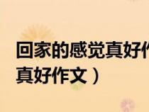 回家的感覺真好作文400字左右（回家的感覺真好作文）