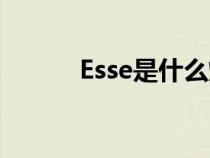 Esse是什么煙（esse是什么煙）
