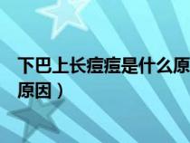 下巴上長痘痘是什么原因引起的圖片（下巴上長痘痘是什么原因）