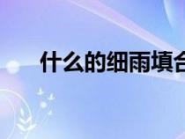什么的細(xì)雨填合適的詞（什么的細(xì)雨）