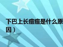 下巴上長痘痘是什么原因引起的呢(下巴上長痘痘是什么原因) 下巴上長痘痘是什么原因引起的呢(下巴上長痘痘是什么原因)
