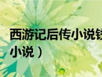 西游記后傳小說錢雁秋全文閱讀（西游記后傳小說）
