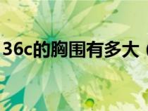 36c的胸圍有多大（36C的胸圍等于多少CM）