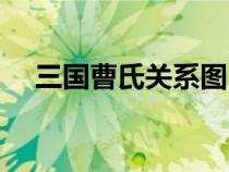 三國曹氏關系圖（曹仁和曹操什么關系）