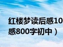 紅樓夢讀后感1000字左右高中（紅樓夢讀后感800字初中）