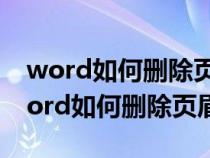 word如何刪除頁(yè)眉上的一道橫線快捷鍵（word如何刪除頁(yè)眉）