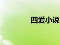 四愛小說(shuō)（女攻男受小說(shuō)）