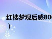 紅樓夢觀后感800字作文（紅樓夢觀后感800）