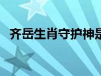 齊岳生肖守護(hù)神是什么（齊岳生肖守護(hù)神）