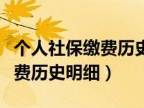 個(gè)人社保繳費(fèi)歷史明細(xì)怎么打?。▊€(gè)人社保繳費(fèi)歷史明細(xì)）