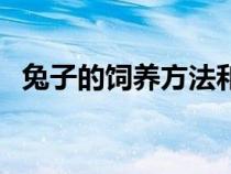 兔子的飼養(yǎng)方法和技巧（兔子的飼養(yǎng)方法）