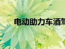 電動助力車酒駕怎么處理（電動助力）