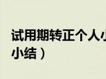 試用期轉(zhuǎn)正個(gè)人小結(jié)100字(試用期轉(zhuǎn)正個(gè)人小結(jié)) 試用期轉(zhuǎn)正個(gè)人小結(jié)100字(試用期轉(zhuǎn)正個(gè)人小結(jié))