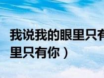 我說(shuō)我的眼里只有你是什么歌曲（我說(shuō)我的眼里只有你）
