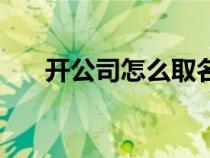 開公司怎么取名字（開公司如何取名）
