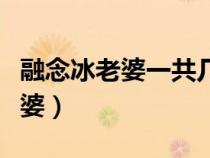 融念冰老婆一共幾個成神了（融念冰有幾個老婆）