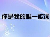 你是我的唯一歌詞大意（你是我的唯一歌詞）