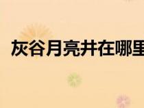 灰谷月亮井在哪里 地圖（灰谷的月亮井在）