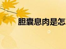 膽囊息肉是怎么引起的（膽囊息肉）