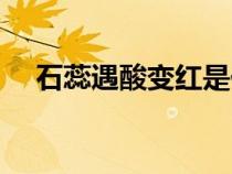 石蕊遇酸變紅是化學(xué)反應(yīng)嗎（石蕊遇酸）
