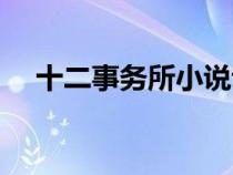 十二事務(wù)所小說講的什么（十二事務(wù)所）