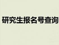 研究生報名號查詢網(wǎng)站（研究生報名號查詢）