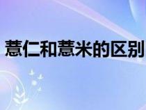 薏仁和薏米的區(qū)別圖片（薏仁與薏米的區(qū)別）