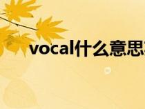 vocal什么意思英語（vocal什么意思）