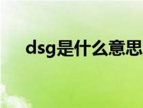 dsg是什么意思網(wǎng)絡(luò)（dsg是什么意思）