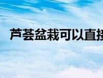 蘆薈盆栽可以直接涂在臉上嗎(蘆薈盆栽) 蘆薈盆栽可以直接涂在臉上嗎(蘆薈盆栽)