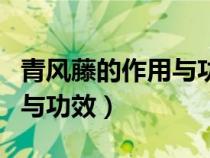 青風(fēng)藤的作用與功效圖片大全（青風(fēng)藤的作用與功效）