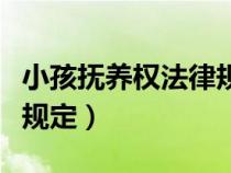 小孩撫養(yǎng)權(quán)法律規(guī)定是什么(小孩撫養(yǎng)權(quán)法律規(guī)定) 小孩撫養(yǎng)權(quán)法律規(guī)定是什么(小孩撫養(yǎng)權(quán)法律規(guī)定)