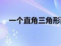 一個直角三角形兩條直角邊分別是5和12