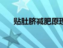 貼肚臍減肥原理是什么（貼肚臍減肥）