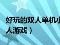 好玩的雙人單機(jī)小游戲有哪些（好玩的單機(jī)雙人游戲）