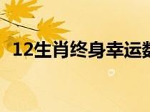 12生肖終身幸運數(shù)字（個人幸運數(shù)字查詢）