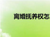 離婚撫養(yǎng)權(quán)怎么爭(zhēng)?。x婚撫養(yǎng)權(quán)）