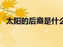 太陽的后裔是什么意思（后裔是什么意思）