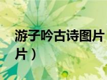 游子吟古詩圖片 配圖簡筆畫（游子吟古詩圖片）