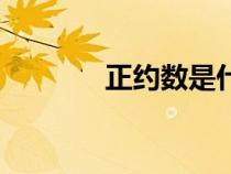 正約數(shù)是什么（正數(shù)是什么）