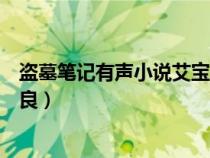 盜墓筆記有聲小說艾寶良陰山古樓（盜墓筆記有聲小說艾寶良）