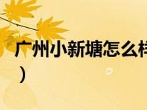 廣州小新塘怎么樣（廣州新塘與小新塘的區(qū)別）