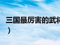 三國最厲害的武將前十名（三國最厲害的武將）