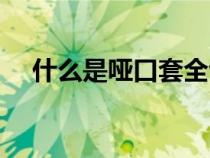 什么是啞口套全包和半包（什么是啞口）